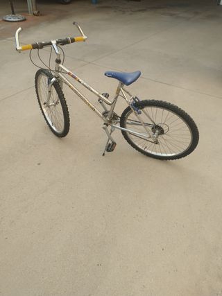 Bicicleta de montaña