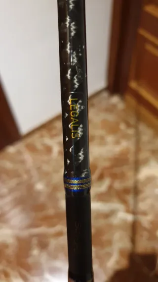 Caña de Pesca DAIWA Legalis 250g.Jigging.