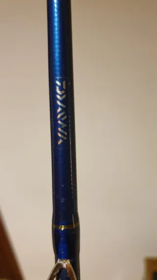 Caña de Pesca DAIWA Legalis 250g.Jigging.
