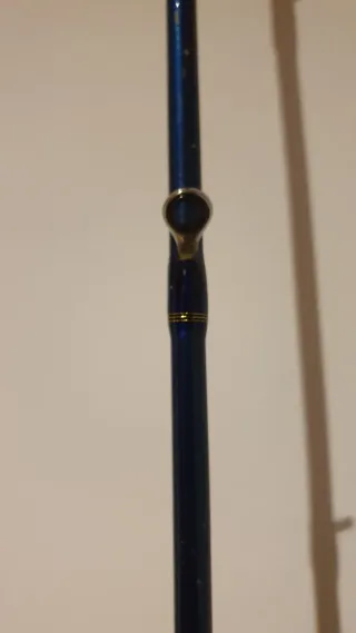 Caña de Pesca DAIWA Legalis 250g.Jigging.