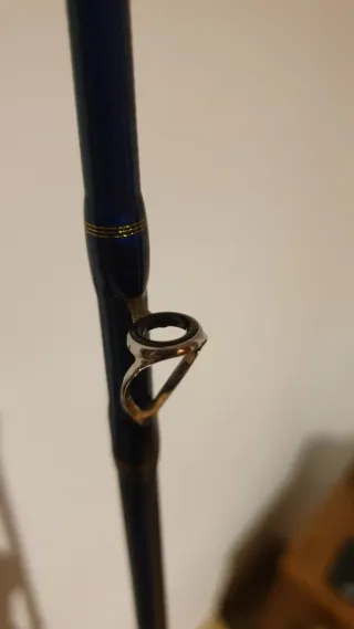 Caña de Pesca DAIWA Legalis 250g.Jigging.