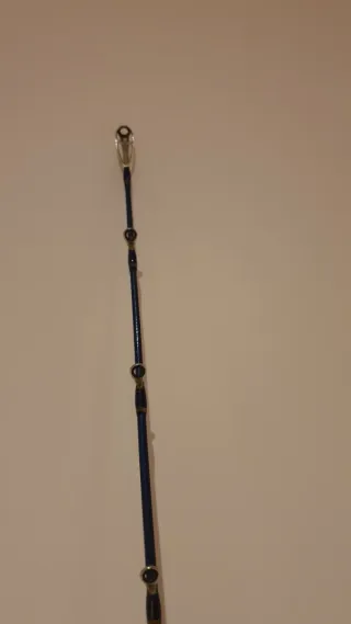 Caña de Pesca DAIWA Legalis 250g.Jigging.