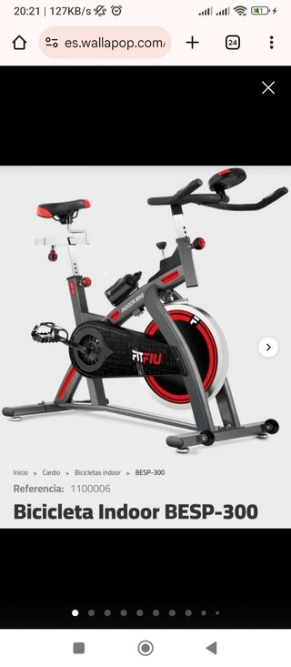 Bicicleta Indoor BESP-300