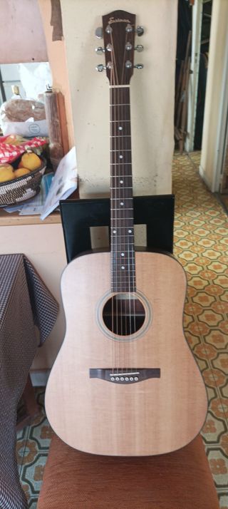 Guitarra Acústica Eastman 120 + Estuche