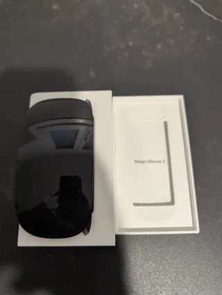 Magic Mouse 2 Negro