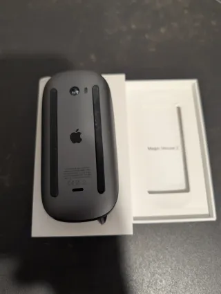Magic Mouse 2 Negro