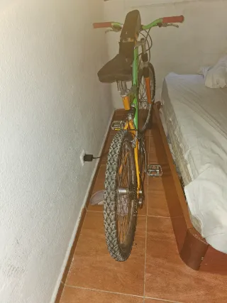 Bicicleta de Montaña