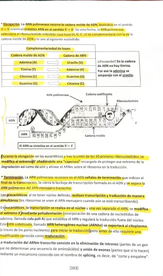 "Una Biología Para Todos"