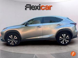 Lexus NX 2.5 300h Business 2WD