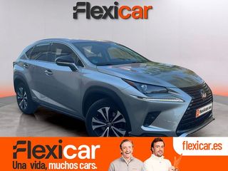 Lexus NX 2.5 300h Business 2WD