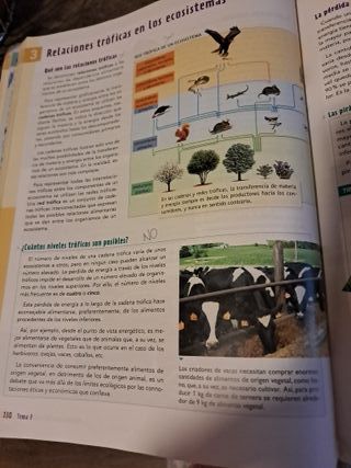 BG 4 (BIOLOGIA Y GEOLOGIA) ESO AULA 3D