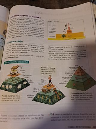BG 4 (BIOLOGIA Y GEOLOGIA) ESO AULA 3D