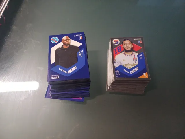 250 cromos Panini Liga Francesa 2024