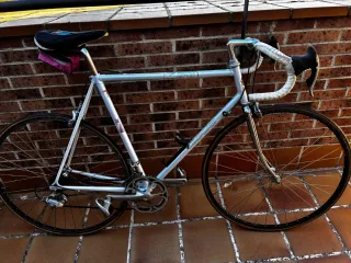 Bicicleta Zeus Racing Plata