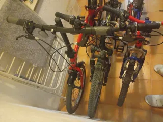 Bicicletas Montaña y Plegable