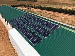 Granja Avícola Solar 20000w