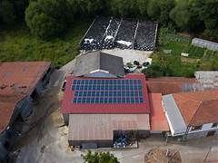 Granja Avícola Solar 20000w