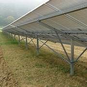 Granja Avícola Solar 20000w