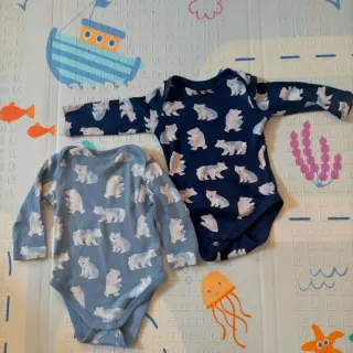 Bodys de bebé con osos polares
Talla 62cm