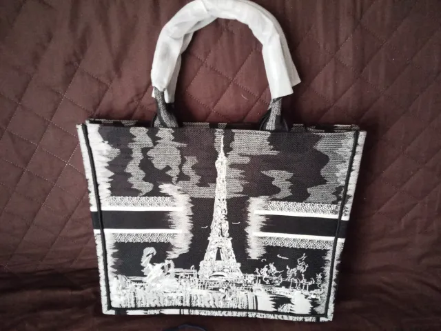Borsa Dior con stampa Torre Eiffel paris