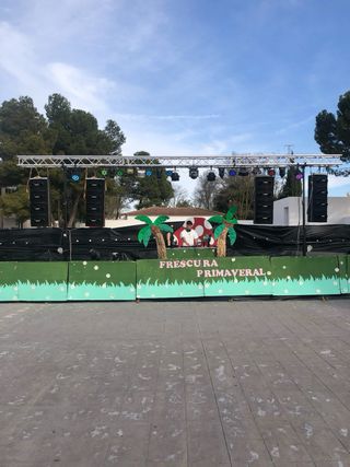 Altavoz Bose 802 Serie II dispongo 16 unidades