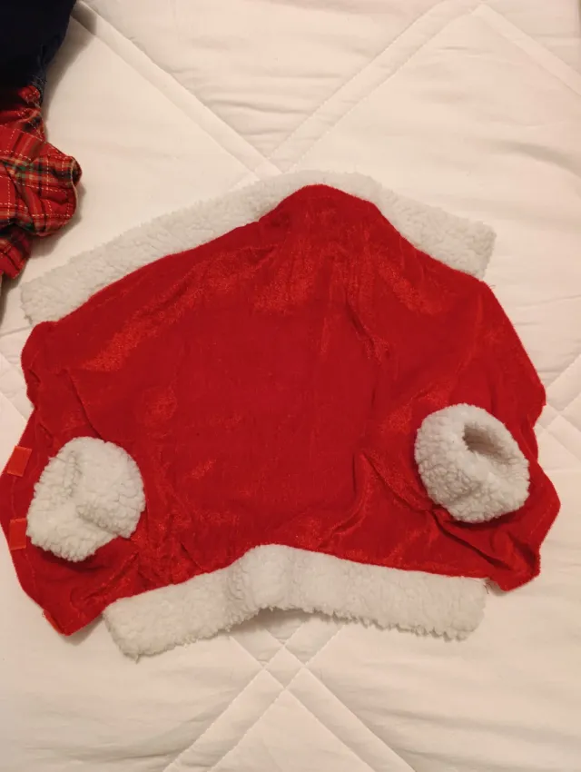 Lote bolsas transporte y prendas perros pequeños