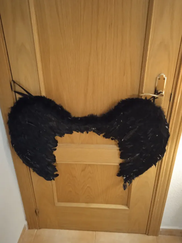 Alas de ángel negras