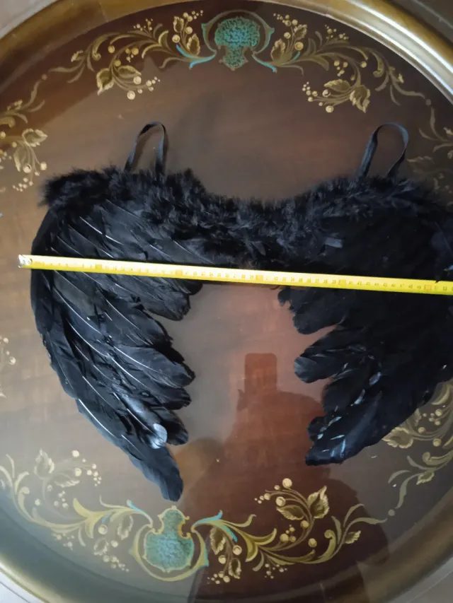 Alas de ángel negras