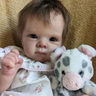 Bebe Reborn 