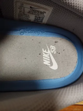 Zapatillas Nike SB Charge T-45 buen estado 