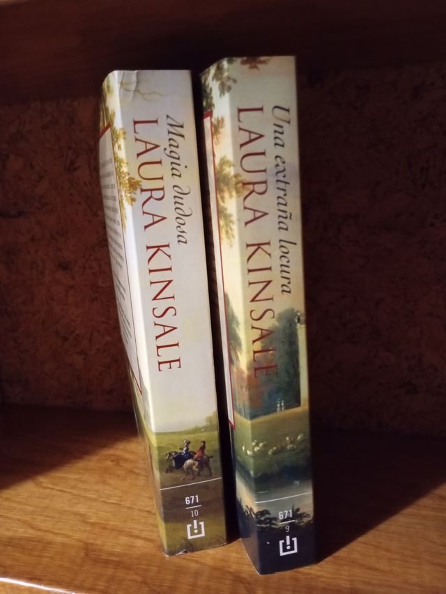 Magia dudosa (Spanish Edition) Una extraña locura