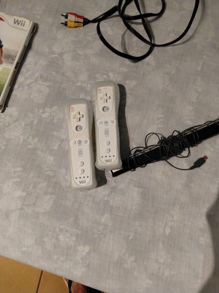  Wii Blanca con 2 juegos 