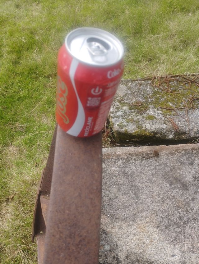 Par Ruedas Hierro Carro Antiguo Radios Planos 81cm