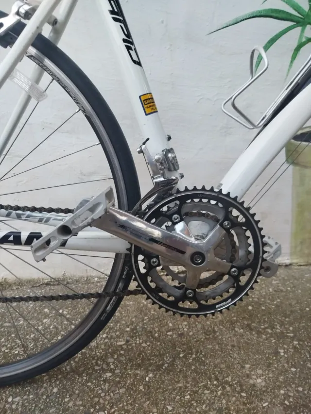 • Bicicleta carretera Giant  •