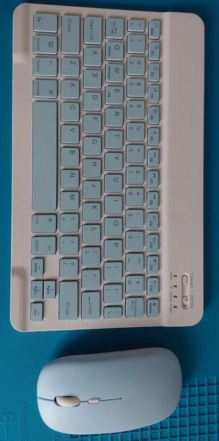 Teclado y ratón inalámbricos