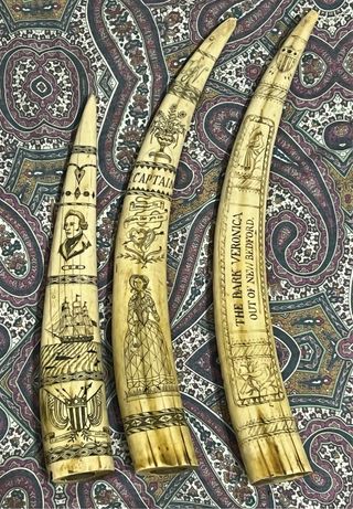 Scultura Scrimshaw Denti di Balena. 44cm