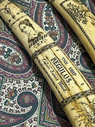 Scultura Scrimshaw Denti di Balena. 44cm