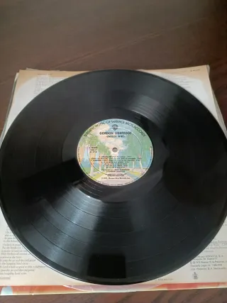 Vinilo Gordon Lightfoot Endless Wire