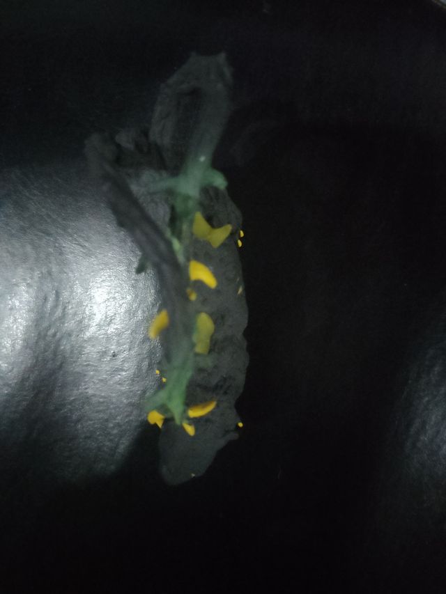 Pantera Negra Figura con Dos Colas y Flores