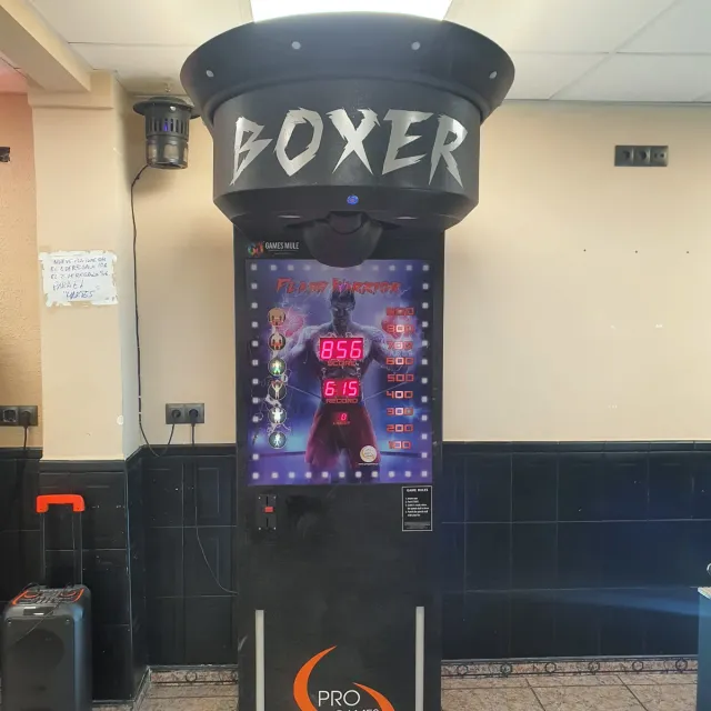 Máquina de Boxeo BOXER