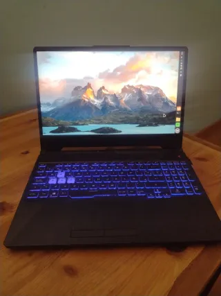 Portátil Gaming Asus TUF