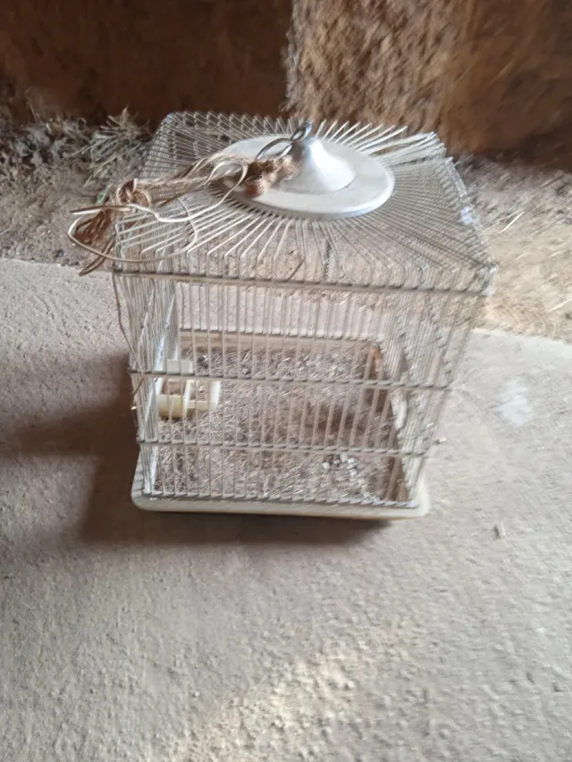 Gabbia per uccelli argentata e bianca