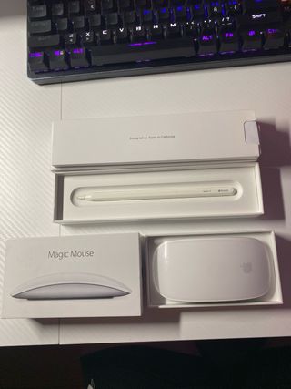 Pack Apple Magic Mouse 2 y Pencil 2a generación 