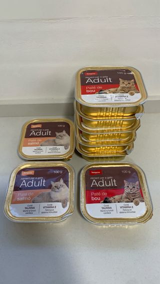 Transportin para gato