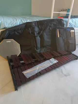 Xilófono para estudiantes, caja sorda y baquetas 