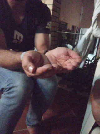 Mascotas imaginarias