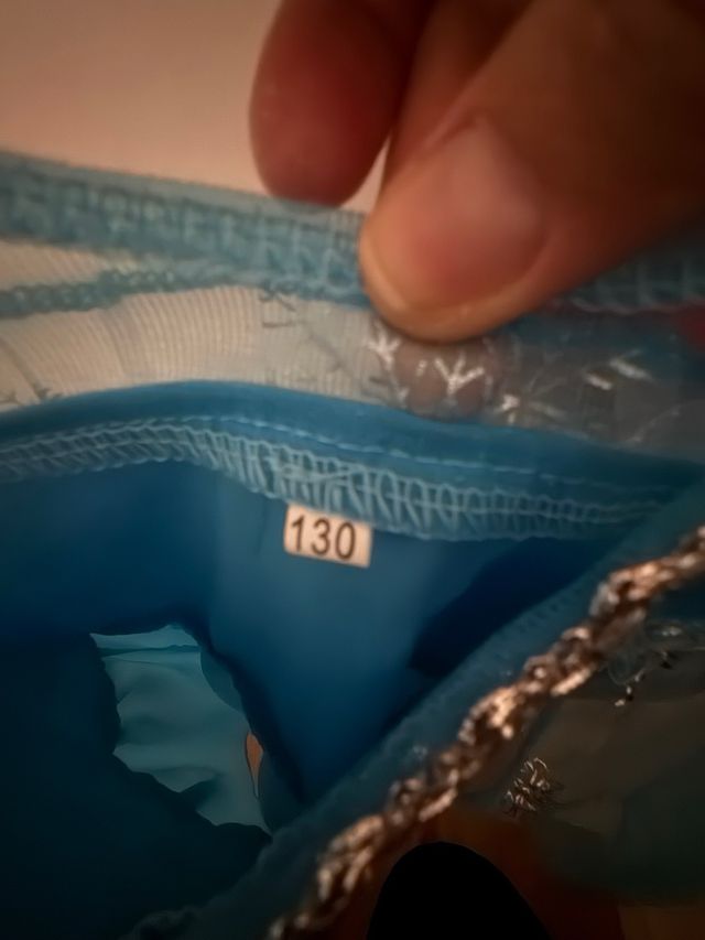 Disfraz Elsa Frozen Azul