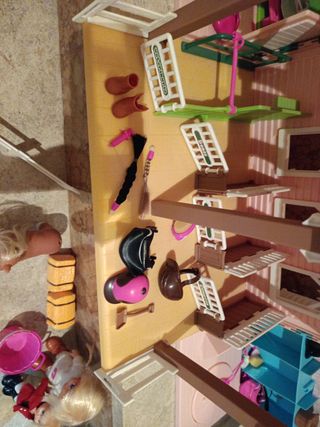 El club de los ponys barriguita