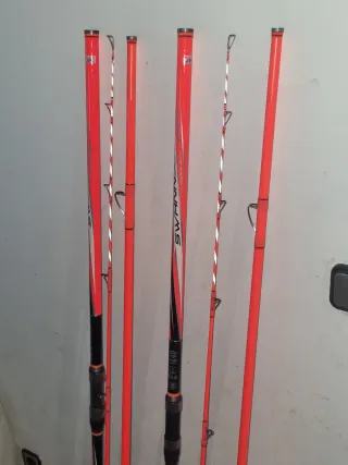 Cañas de surfcasting