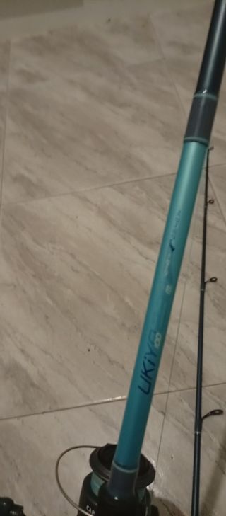 Caña de pescar con carrete